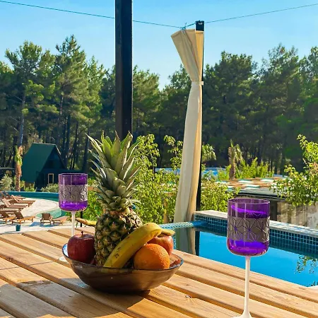Benim Koy / Bungalov Xanthos 1 Villa